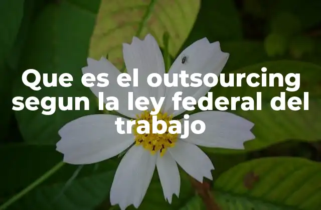 Que es el Outsourcing Segun la Ley Federal Del Trabajo