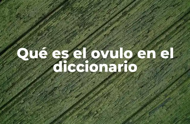 Qué es el Ovulo en el Diccionario