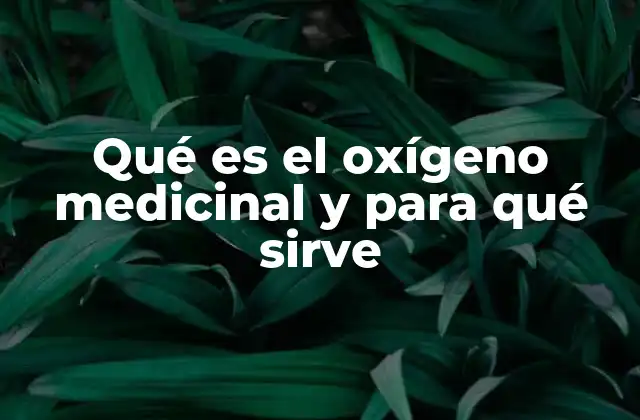 El papel del oxígeno en la salud respiratoria y cardiovascular