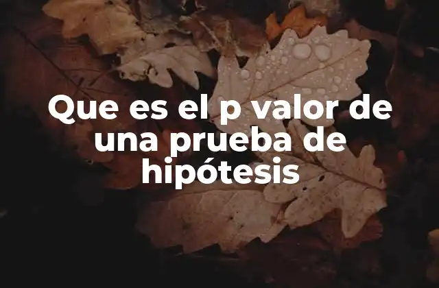 Que es el P Valor de una Prueba de Hipótesis 2 El rol del p valor en la toma de decisiones estadísticas