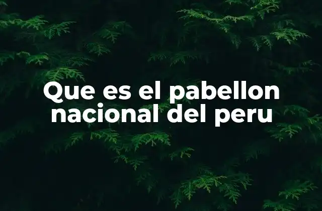 Que es el Pabellon Nacional Del Peru