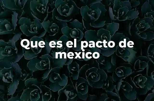 Que es el Pacto de Mexico