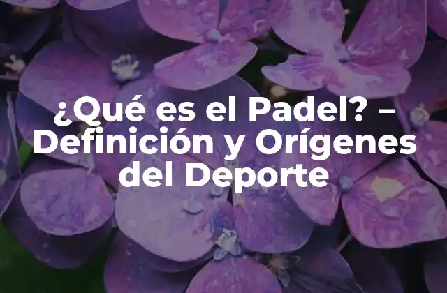 ¿qué es el Padel? - Definición y Orígenes Del Deporte 2 Orígenes del Padel