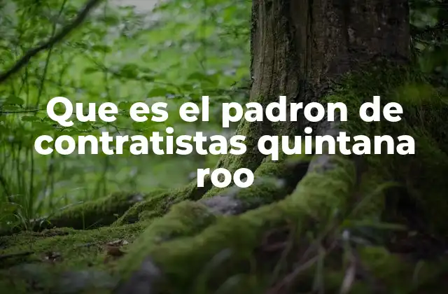 Que es el Padron de Contratistas Quintana Roo