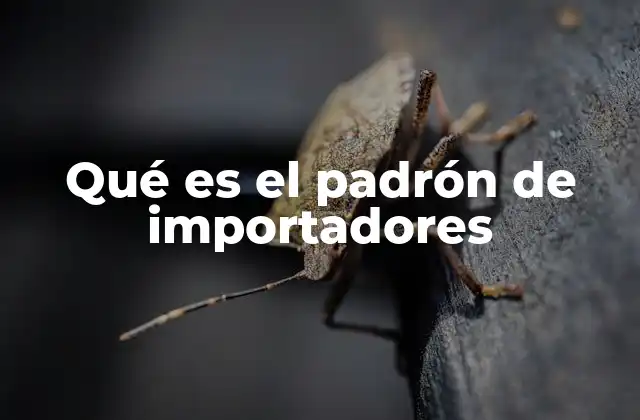 Qué es el Padrón de Importadores