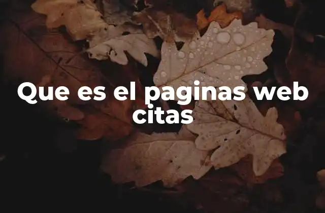 Que es el Paginas Web Citas