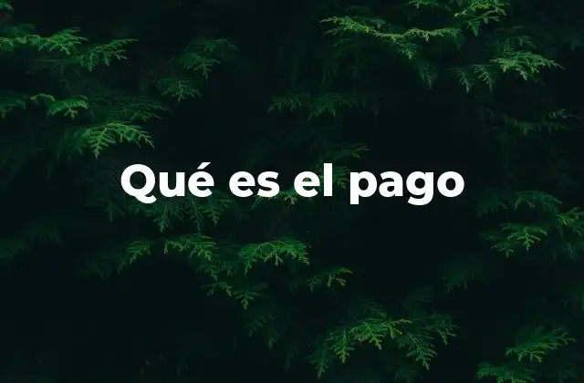 Qué es el Pago