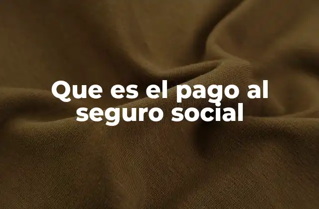 Que es el Pago Al Seguro Social
