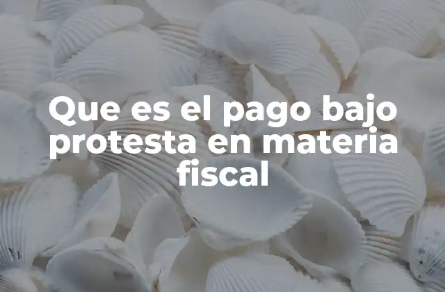 Que es el Pago bajo Protesta en Materia Fiscal