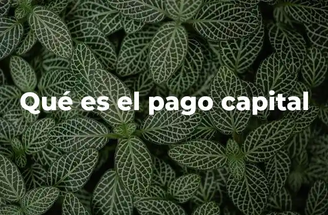 Qué es el Pago Capital