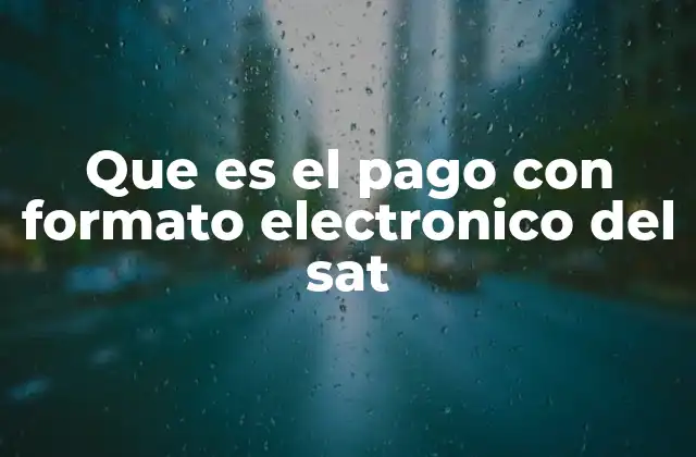 Que es el Pago con Formato Electronico Del Sat 2 Facilitar la gestión fiscal mediante herramientas digitales