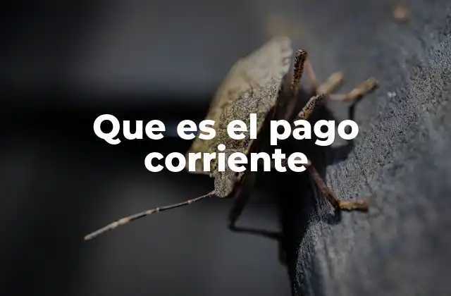 La importancia de gestionar adecuadamente los pagos corrientes