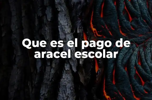 Que es el Pago de Aracel Escolar