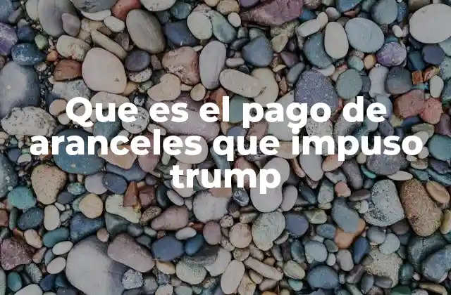 Que es el Pago de Aranceles que Impuso Trump 2 El impacto económico de los aranceles de Trump en el comercio global