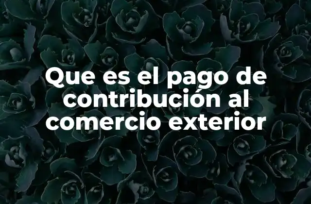 Que es el Pago de Contribución Al Comercio Exterior