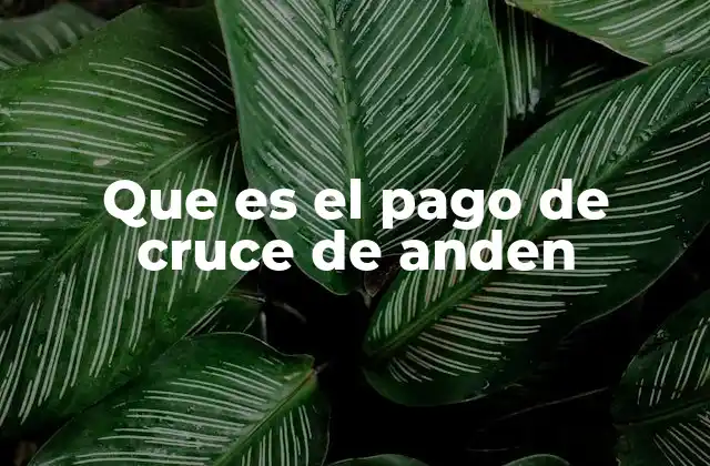 Que es el Pago de Cruce de Anden