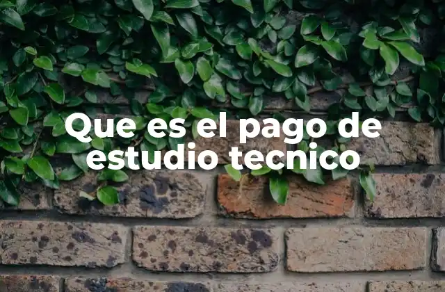 Que es el Pago de Estudio Tecnico