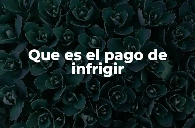 Que es el Pago de Infrigir