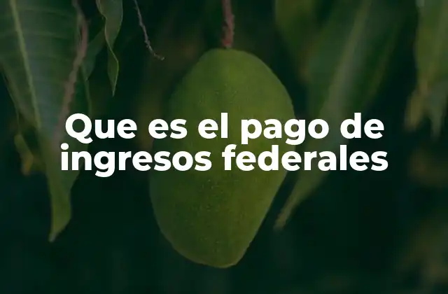 Que es el Pago de Ingresos Federales