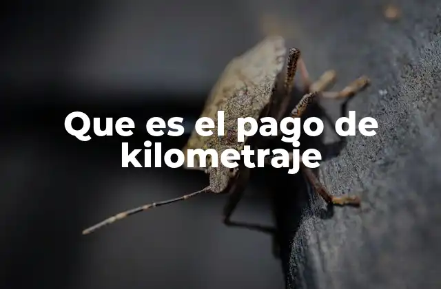 Que es el Pago de Kilometraje