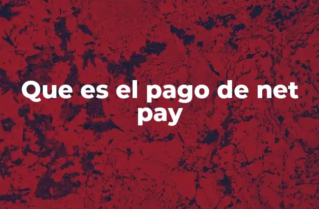 Que es el Pago de Net Pay