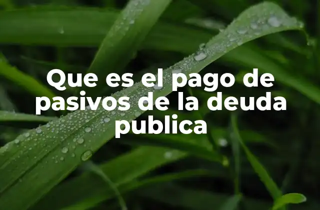 Que es el Pago de Pasivos de la Deuda Publica