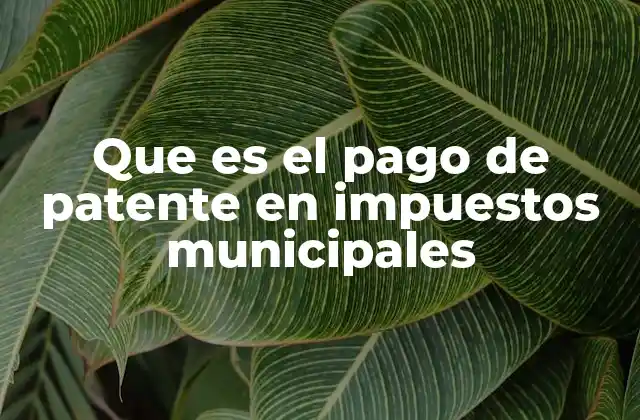 Que es el Pago de Patente en Impuestos Municipales