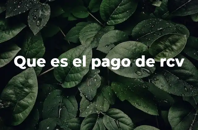 Que es el Pago de Rcv