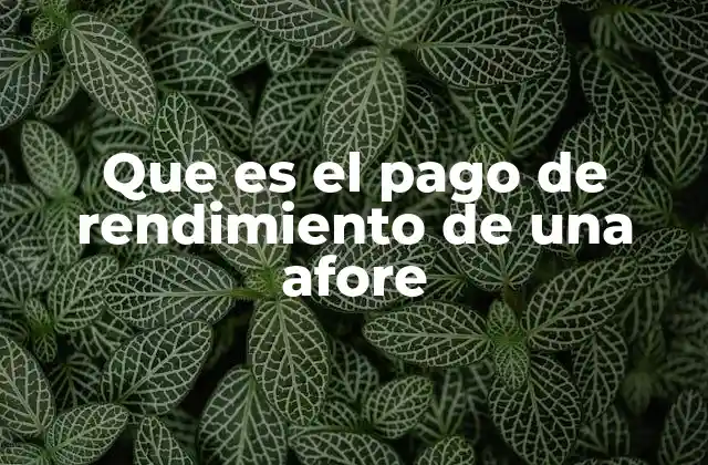 Que es el Pago de Rendimiento de una Afore