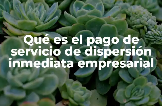 La importancia de la dispersión inmediata en el manejo financiero empresarial