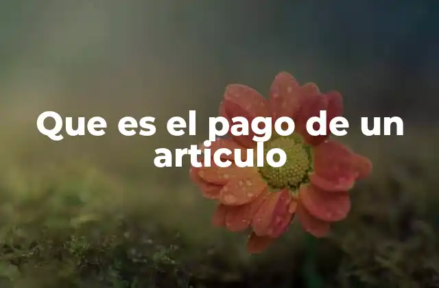 Que es el Pago de un Articulo