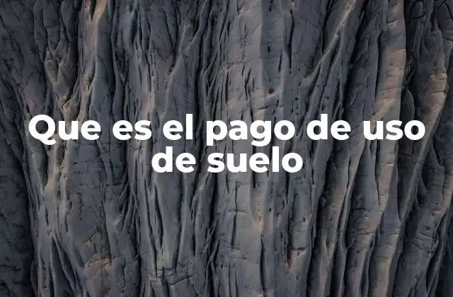 Que es el Pago de Uso de Suelo