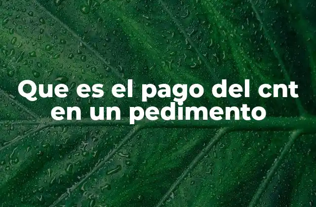 Que es el Pago Del Cnt en un Pedimento