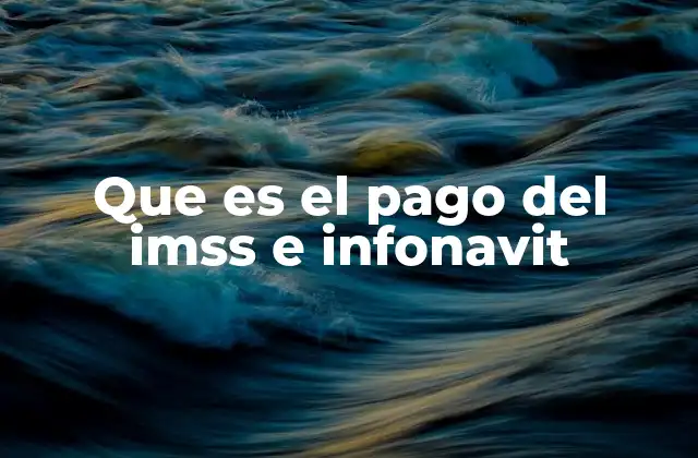 Que es el Pago Del Imss e Infonavit