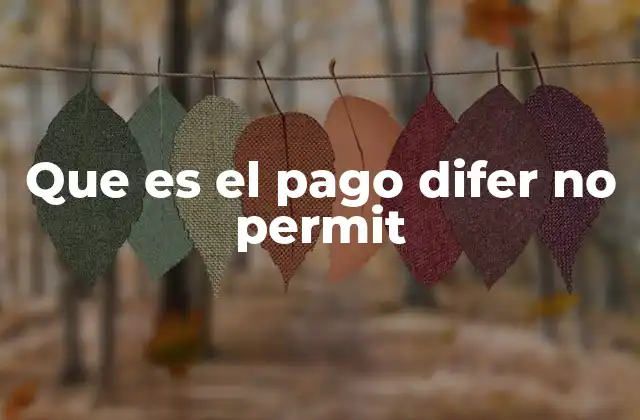 Que es el Pago Difer No Permit