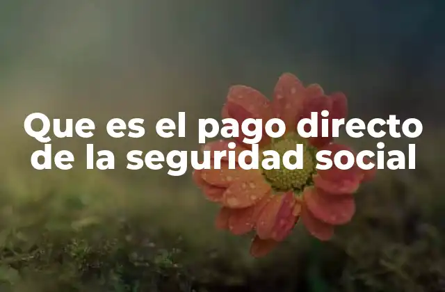 La importancia del aporte directo al sistema de seguridad social