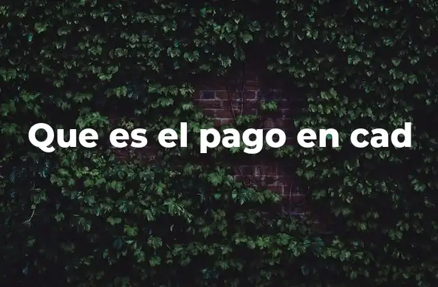 Que es el Pago en Cad