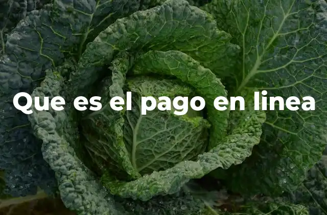 Que es el Pago en Linea