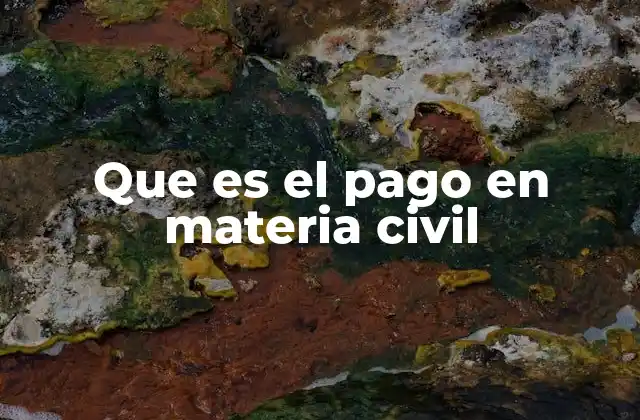 Que es el Pago en Materia Civil 2 El papel del pago en la ejecución de obligaciones civiles