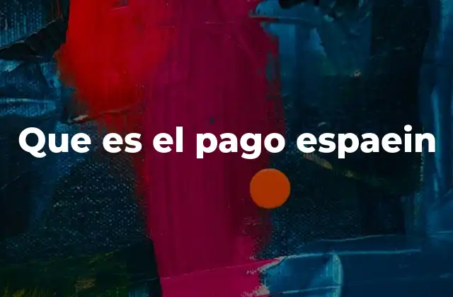 Que es el Pago Espaein