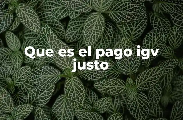 Que es el Pago Igv Justo