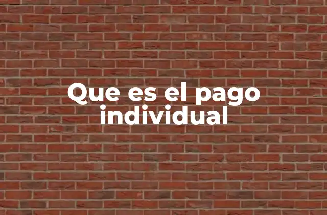 Que es el Pago Individual