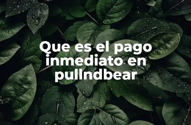 Que es el Pago Inmediato en Pullndbear
