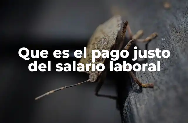 Que es el Pago Justo Del Salario Laboral