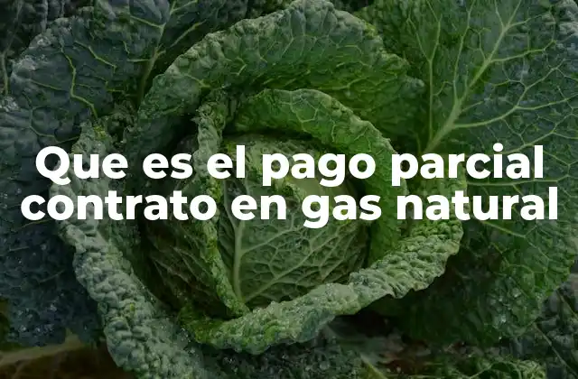 Que es el Pago Parcial Contrato en Gas Natural