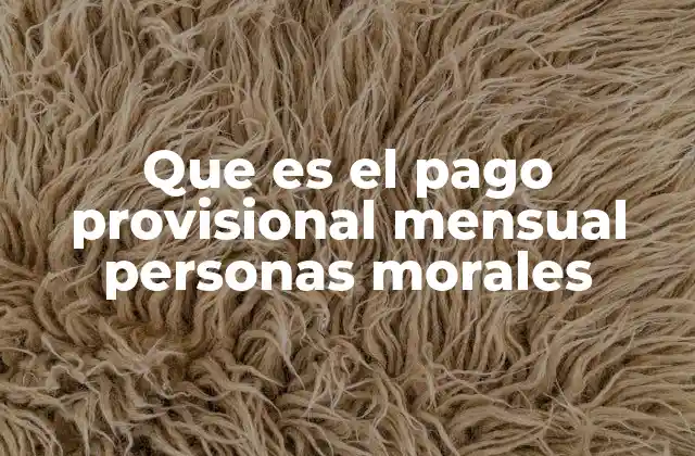 Que es el Pago Provisional Mensual Personas Morales