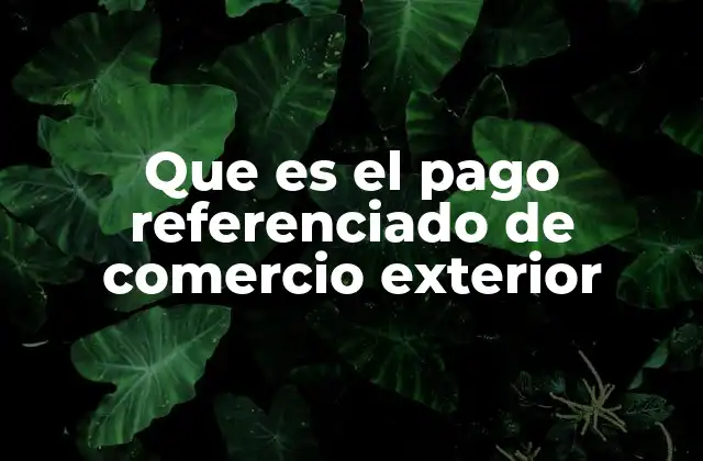 Que es el Pago Referenciado de Comercio Exterior