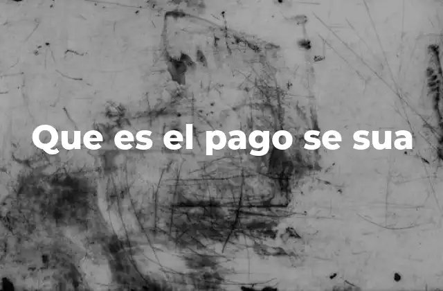 Que es el Pago Se Sua