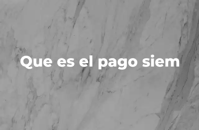 Que es el Pago Siem