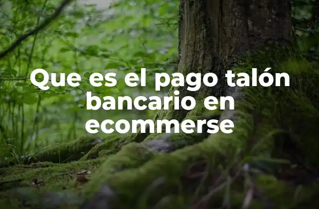 Que es el Pago Talón Bancario en Ecommerse
